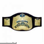 Jakks Pacific WWE World Title Belt Tag Team Champions Smack Down  B000G1T4VY